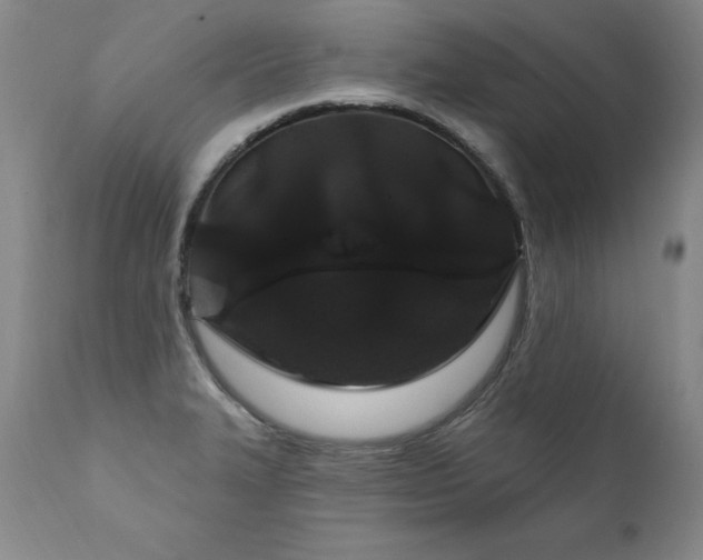 X0000111911327200907271212