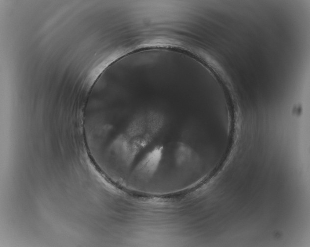X0000111911329200907271212