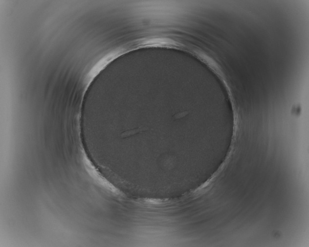 X0000111911330200907271212