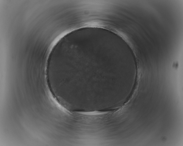 X0000111911331200907271212