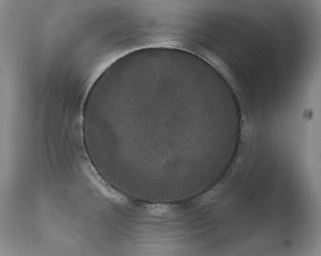 X0000111911332200907271212