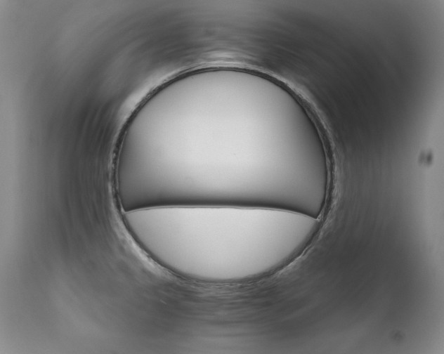 X0000111911333200907271212