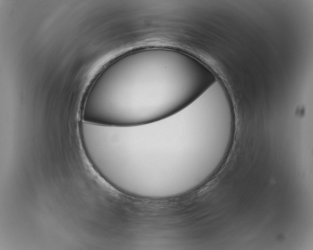 X0000111911334200907271212