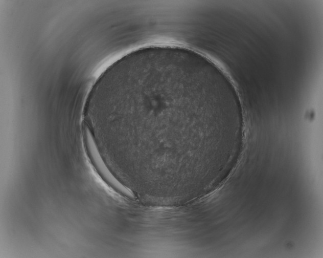X0000111911335200907271212