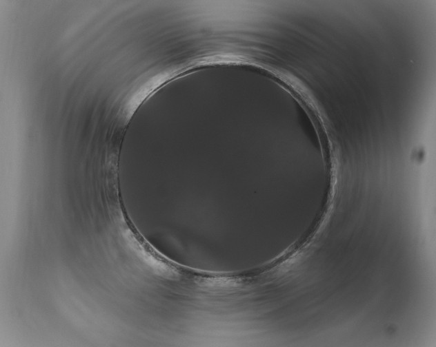 X0000111911337200907271212