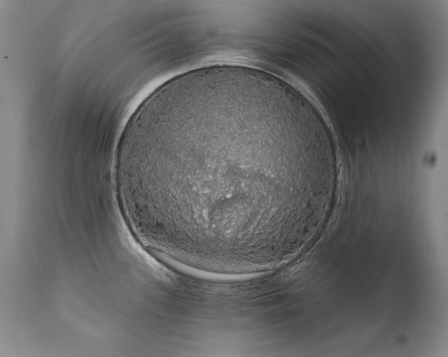 X0000111911339200907271212