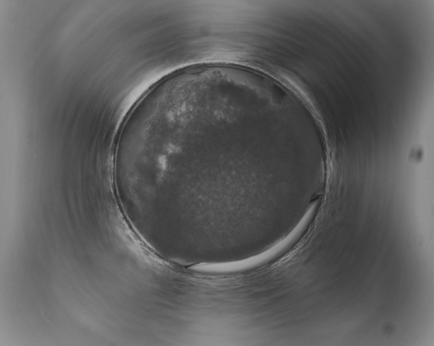 X0000111911340200907271212