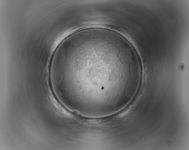X0000111911341200907271212