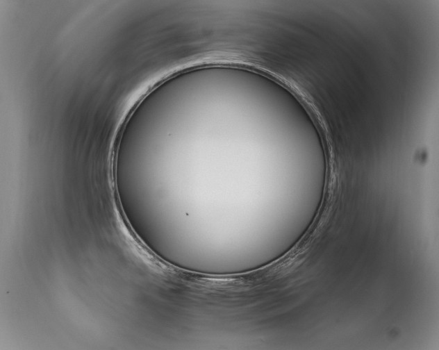 X0000111911342200907271212