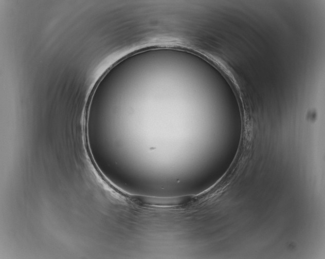 X0000111911343200907271212
