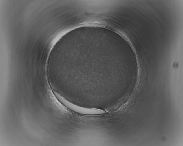 X0000111911344200907271212