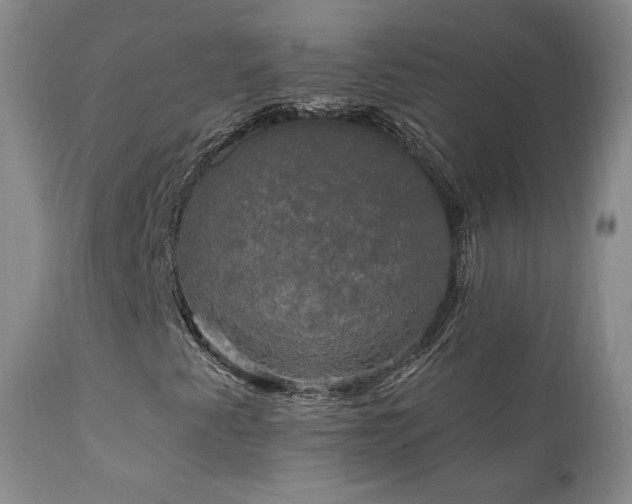 X0000111911345200907271212