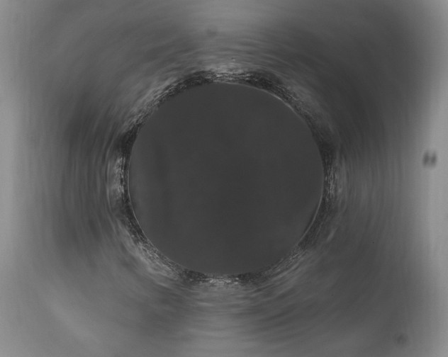 X0000111911346200907271212