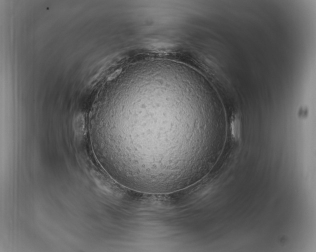 X0000111911347200907271212