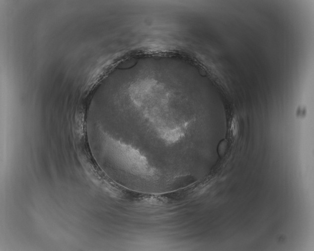 X0000111911348200907271212