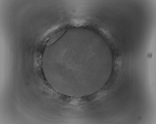 X0000111911349200907271212