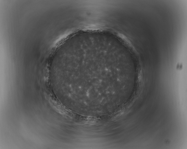 X0000111911350200907271212