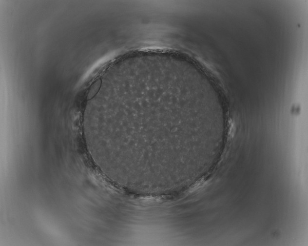 X0000111911351200907271212