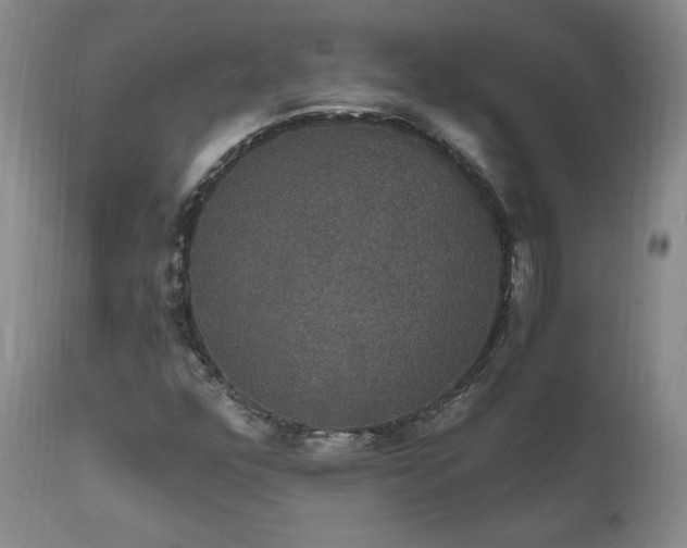 X0000111911352200907271212