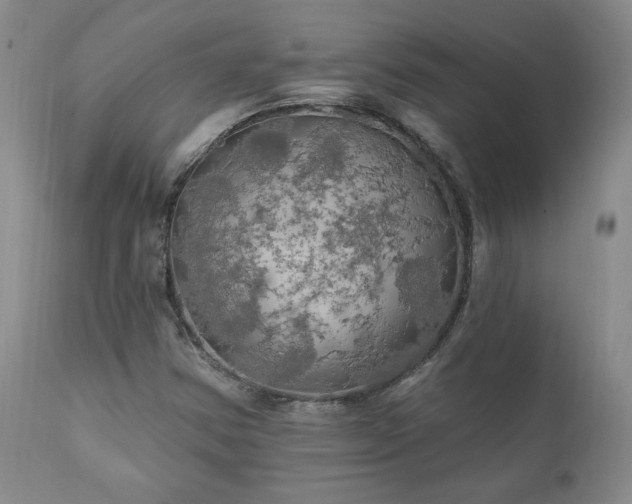 X0000111911354200907271212