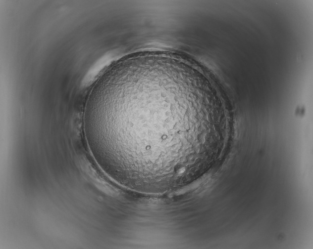 X0000111911355200907271212