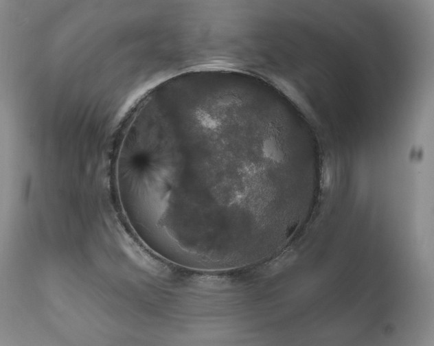 X0000111911356200907271212