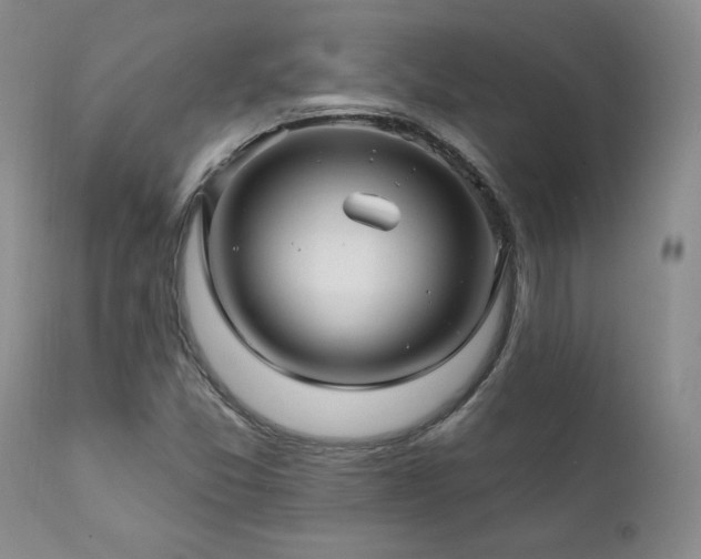 X0000111911357200907271212