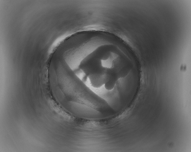 X0000111911358200907271212