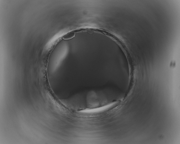 X0000111911359200907271212