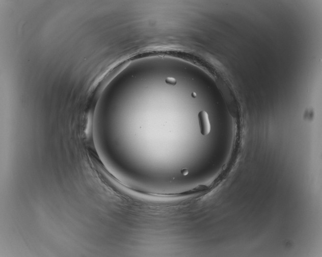 X0000111911361200907271212