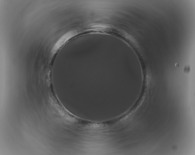 X0000111911362200907271212