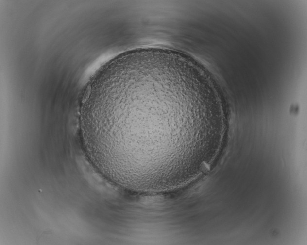 X0000111911363200907271212