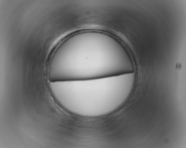 X0000111911364200907271212