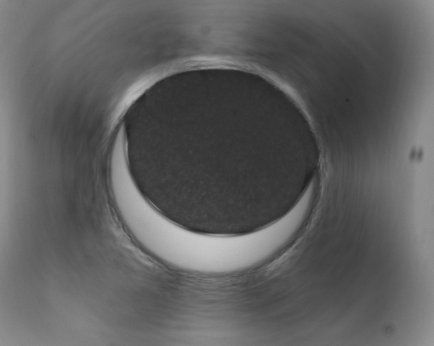 X0000111911365200907271212