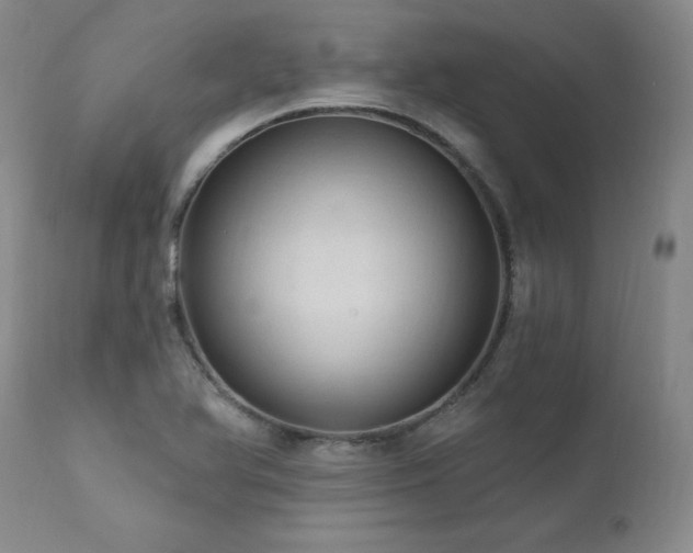 X0000111911366200907271212