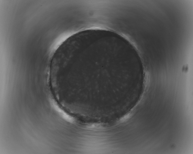 X0000111911367200907271211