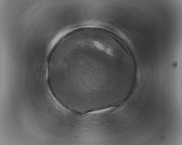 X0000111911368200907271211