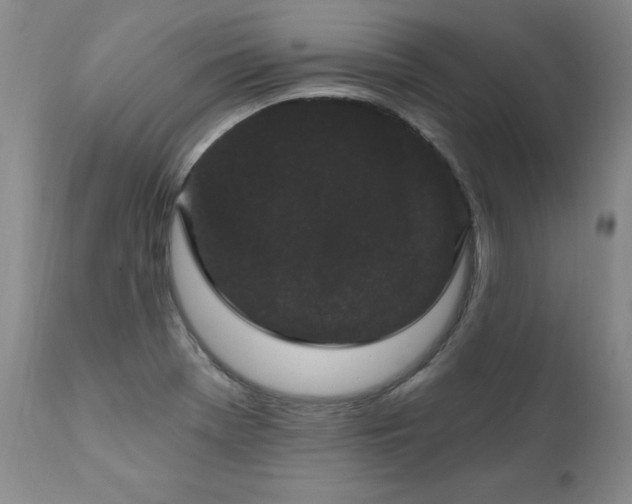 X0000111911369200907271211