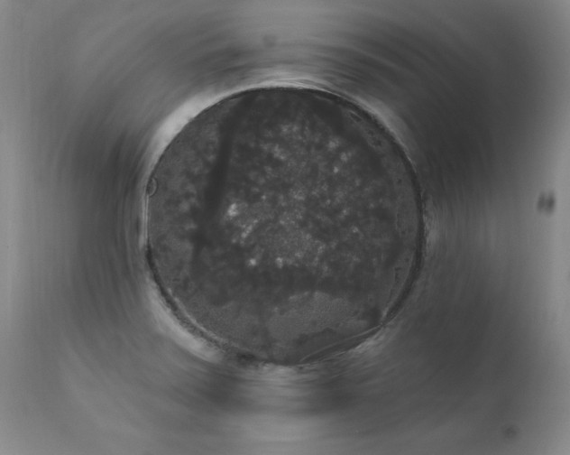 X0000111911371200907271211