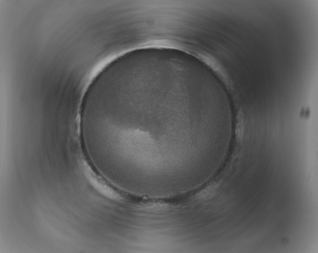 X0000111911372200907271211