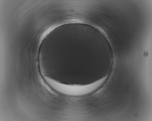 X0000111911373200907271211