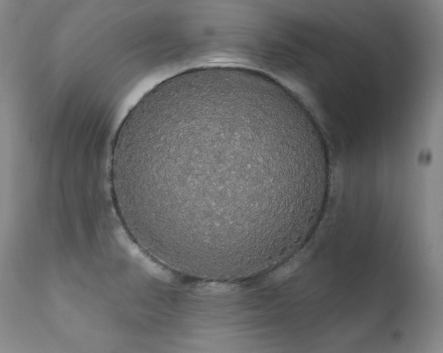 X0000111911374200907271211