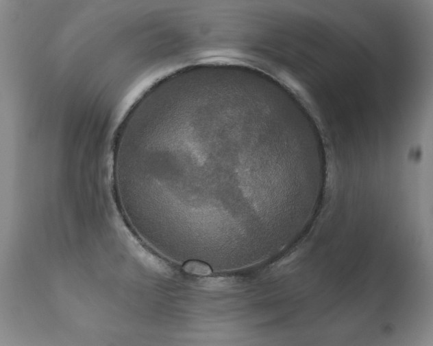X0000111911376200907271211