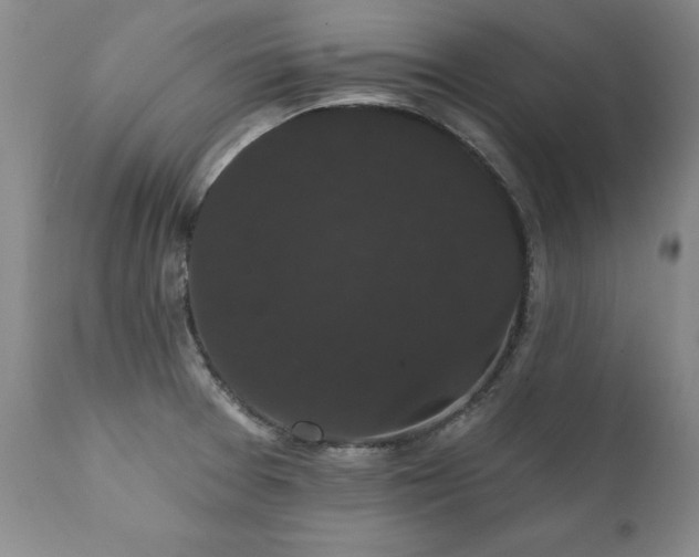X0000111911377200907271211