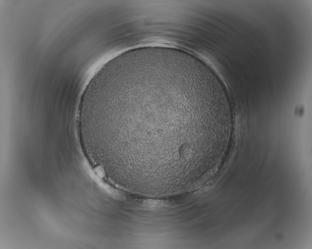X0000111911379200907271211