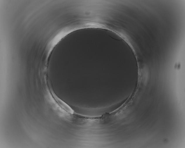 X0000111911381200907271211