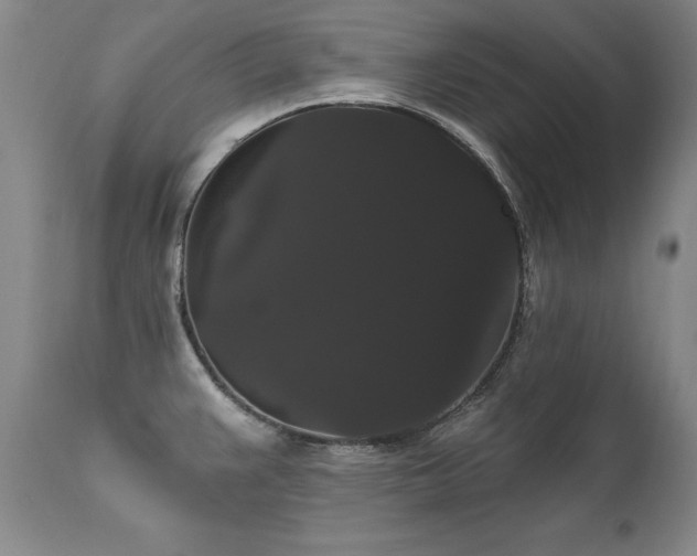X0000111911383200907271211
