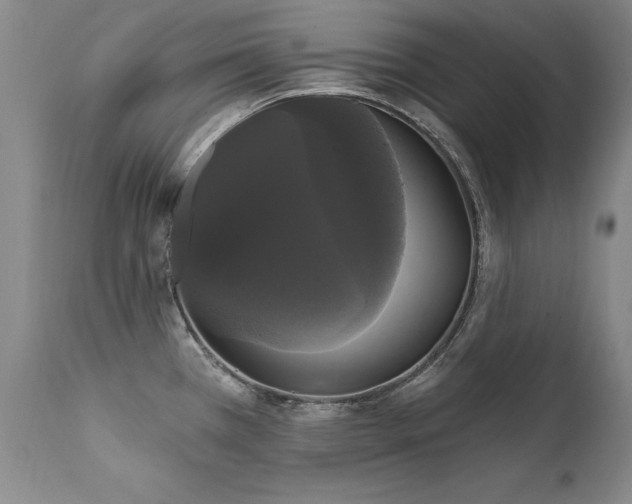 X0000111911385200907271211