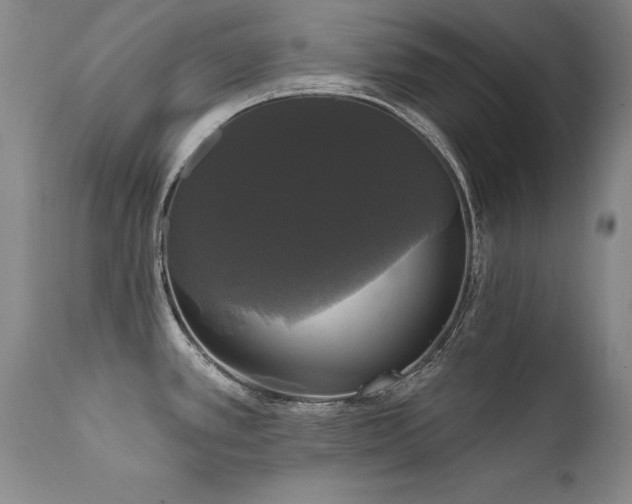 X0000111911389200907271211