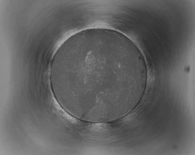 X0000111911390200907271211